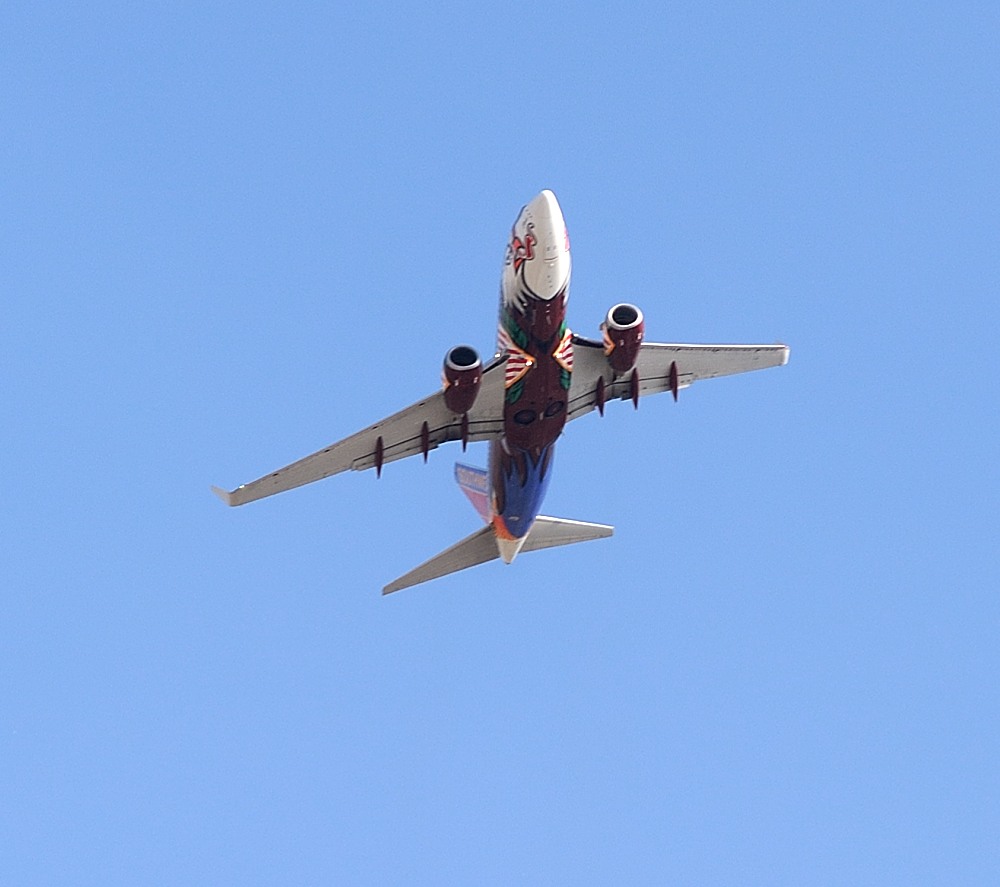 DSC_2184.JPG
