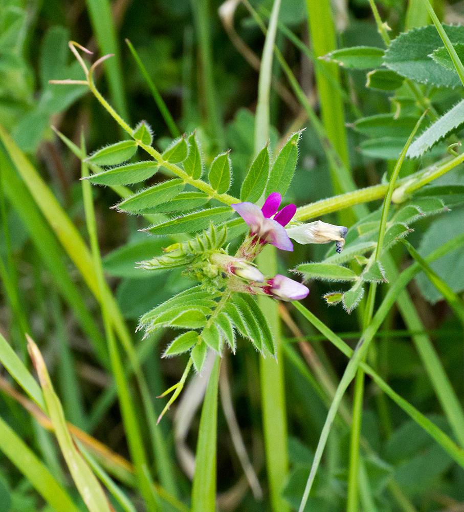 DSC_2188.jpg