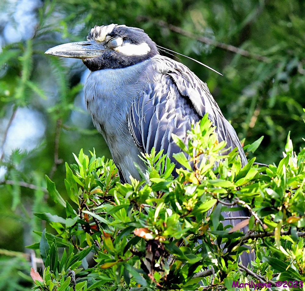 DSC_2190_001.JPG