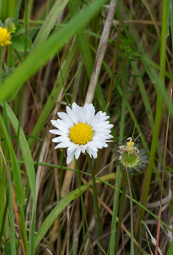 DSC_2191.jpg