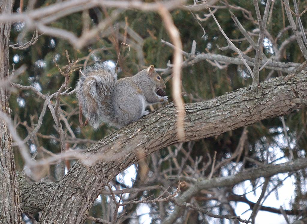DSC_2191.jpg