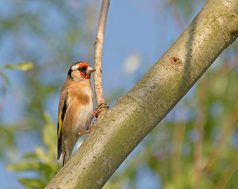 DSC_2192.jpg