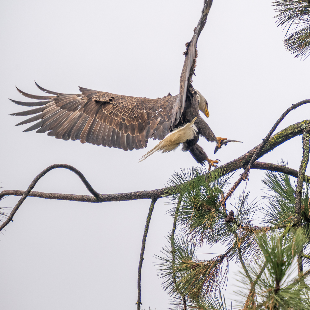DSC_2192.JPG
