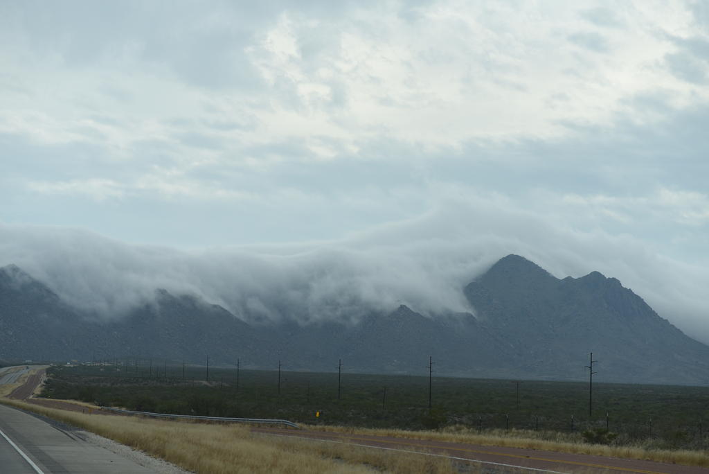 DSC_2193.jpg