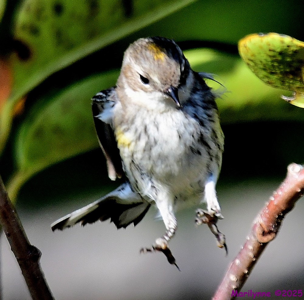 DSC_2200_001.JPG