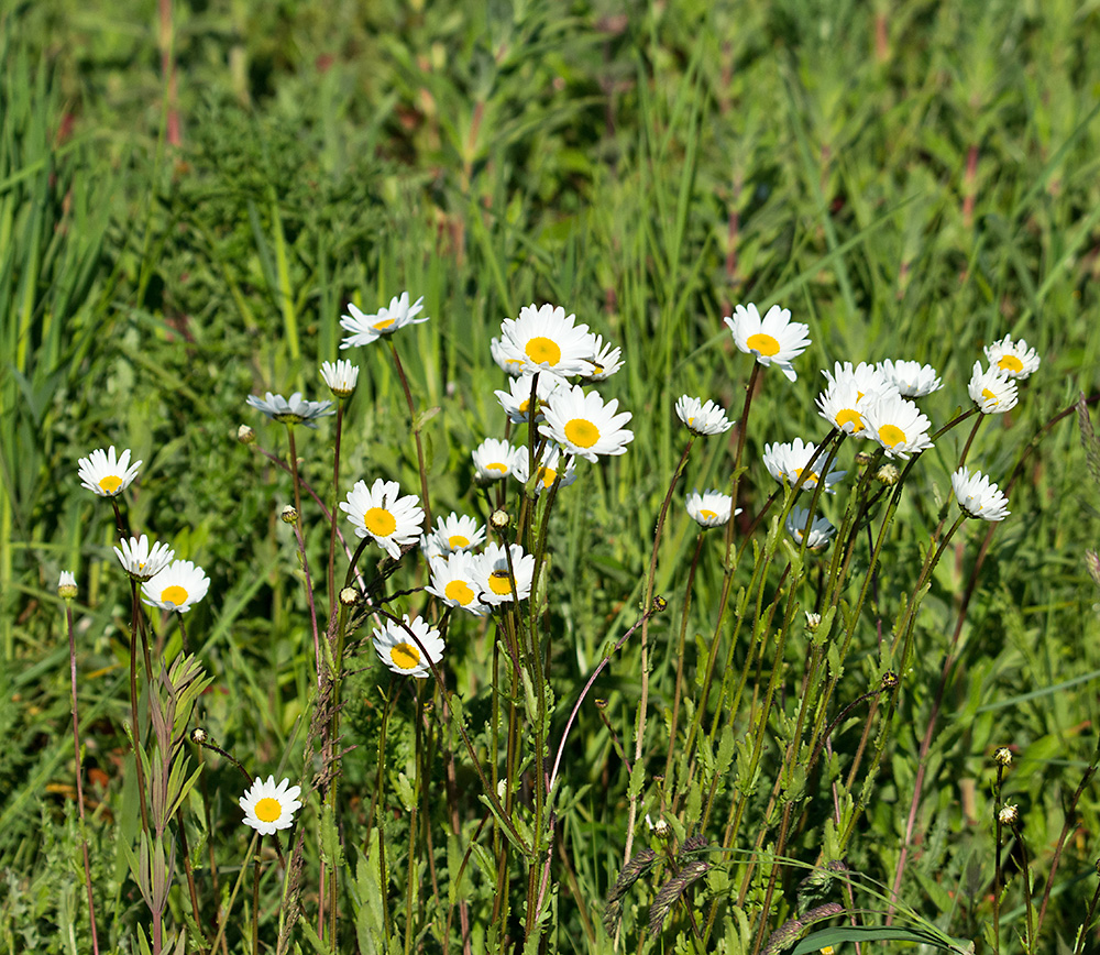 DSC_2201.jpg