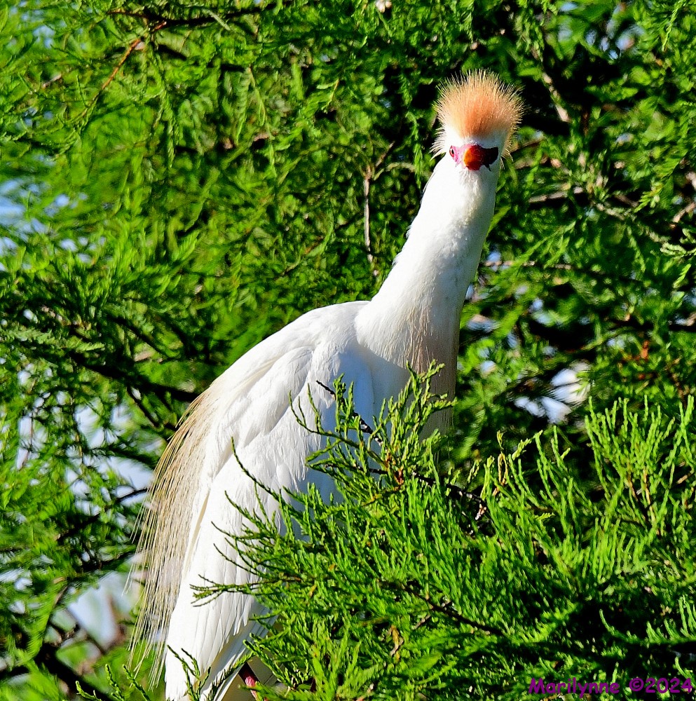 DSC_2202_001.JPG