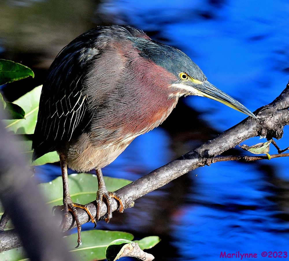 DSC_2206_001.JPG