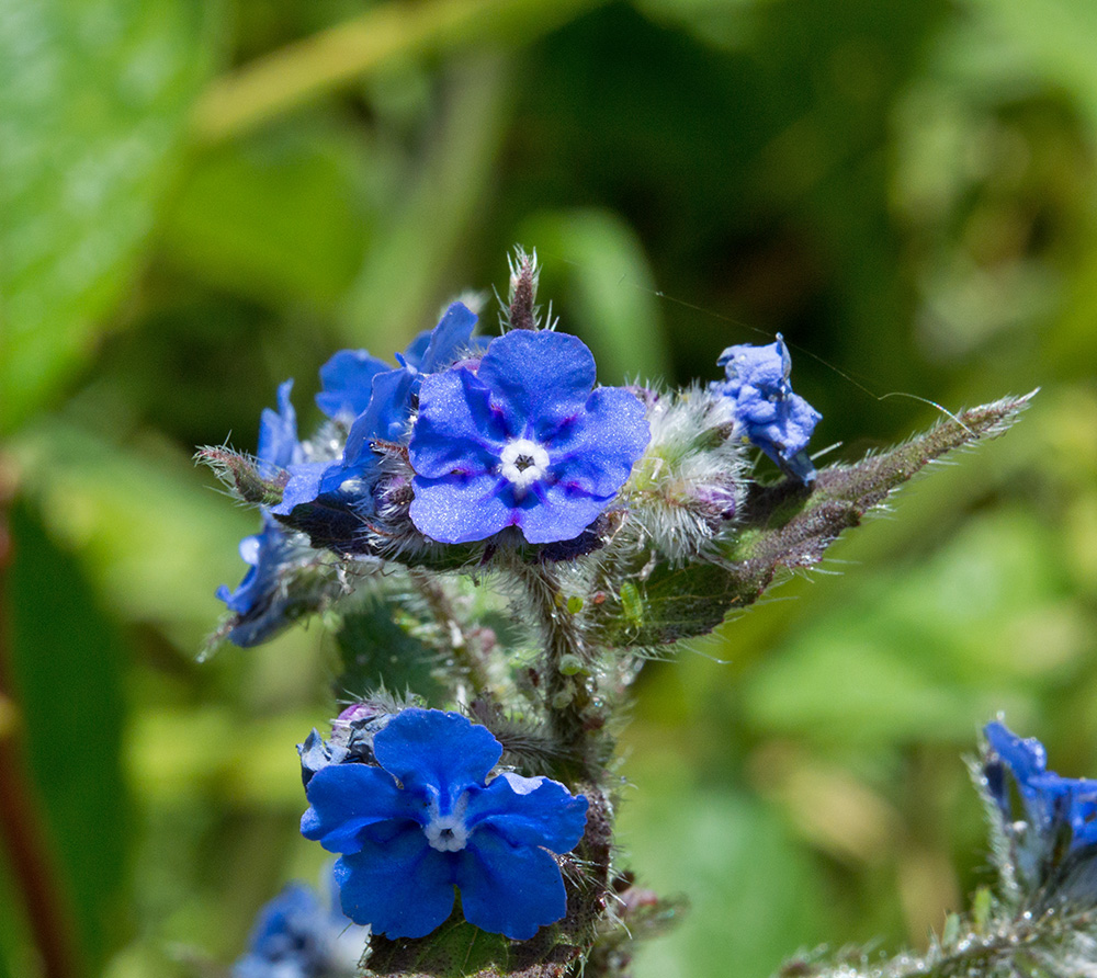 DSC_2208.jpg