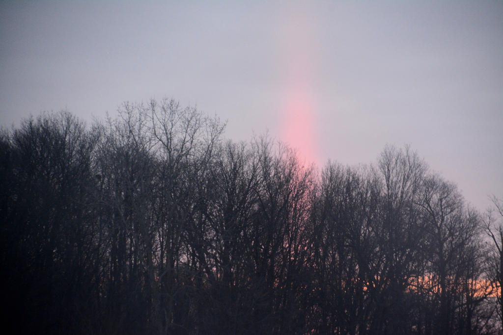 DSC_2209.jpg