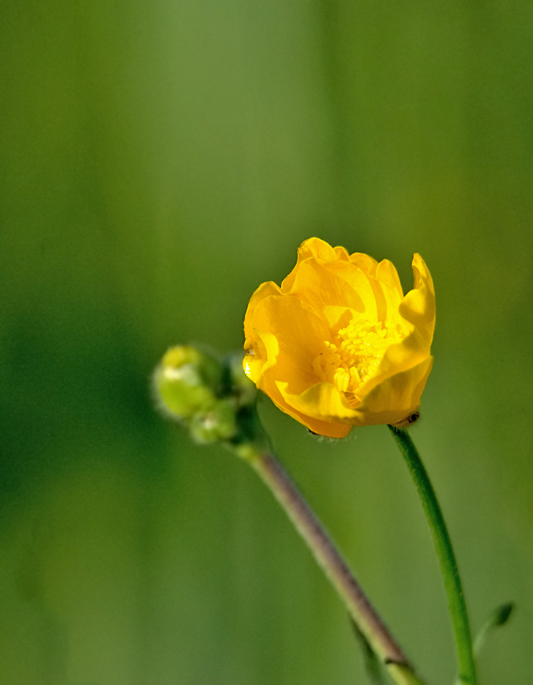 DSC_2209.jpg