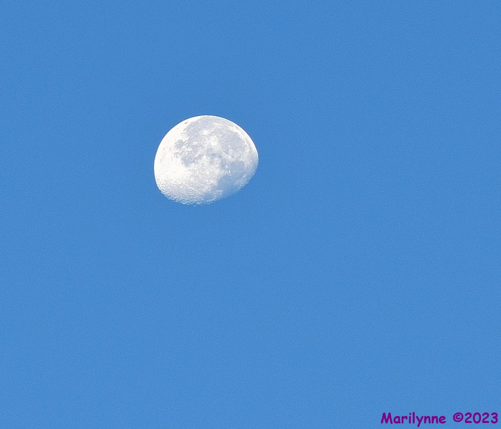 DSC_2213_001.JPG