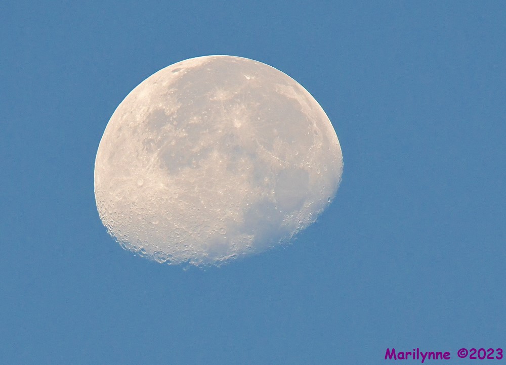 DSC_2214_001.JPG
