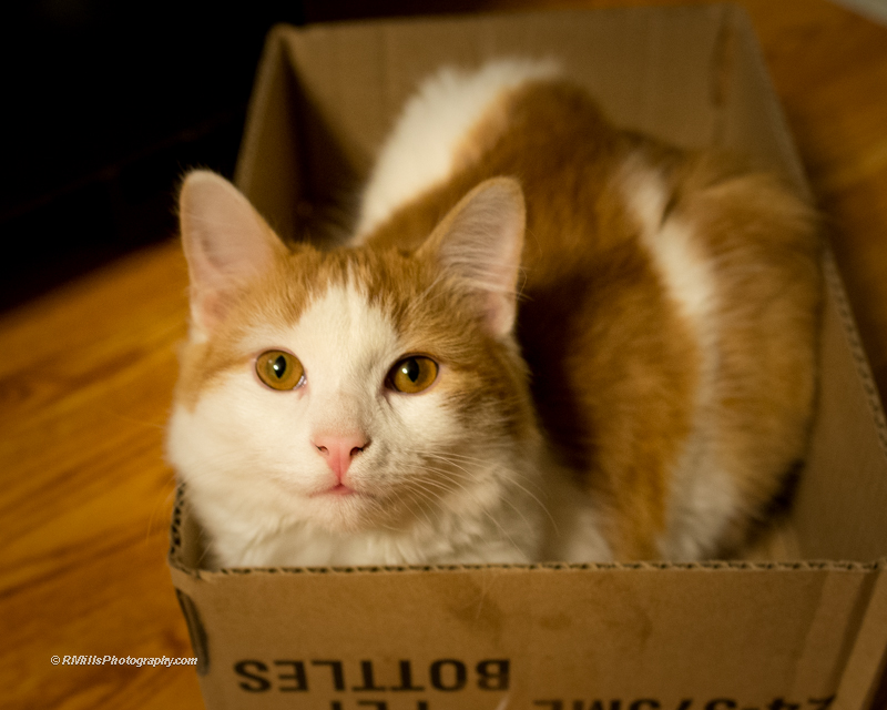 DSC_2215_5310.jpg
