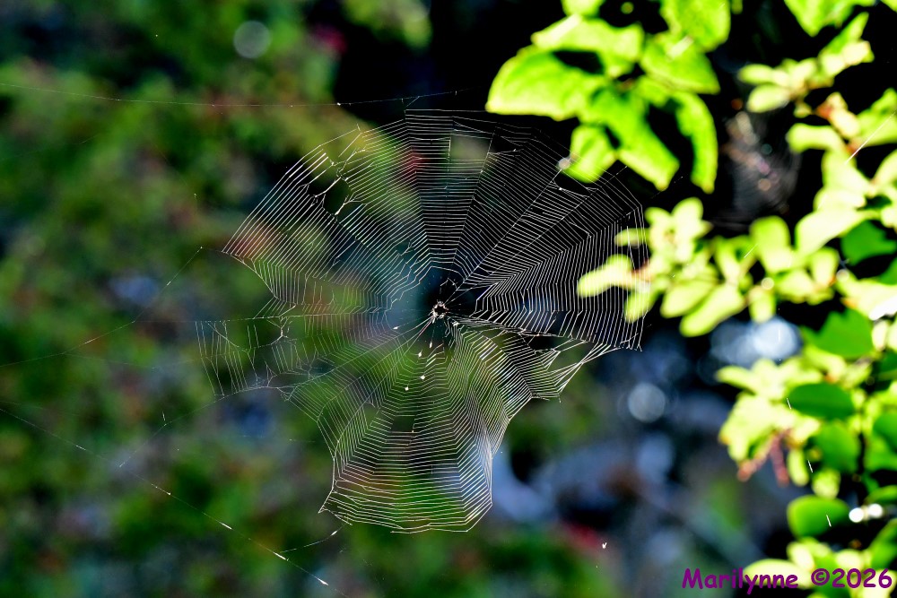 DSC_2217_001.JPG