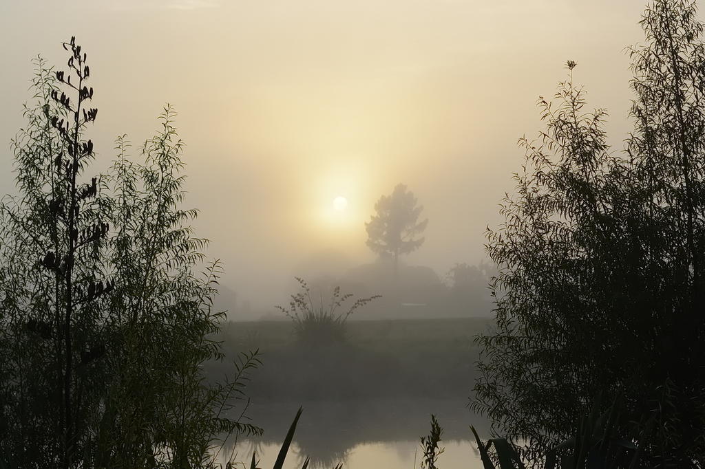 DSC_2218.jpg