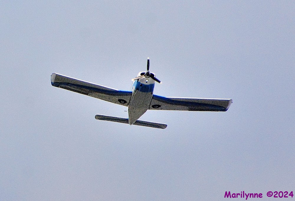 DSC_2224_001.JPG