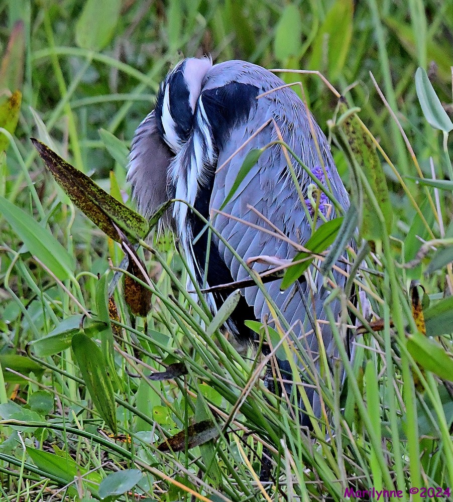 DSC_2224_001.JPG