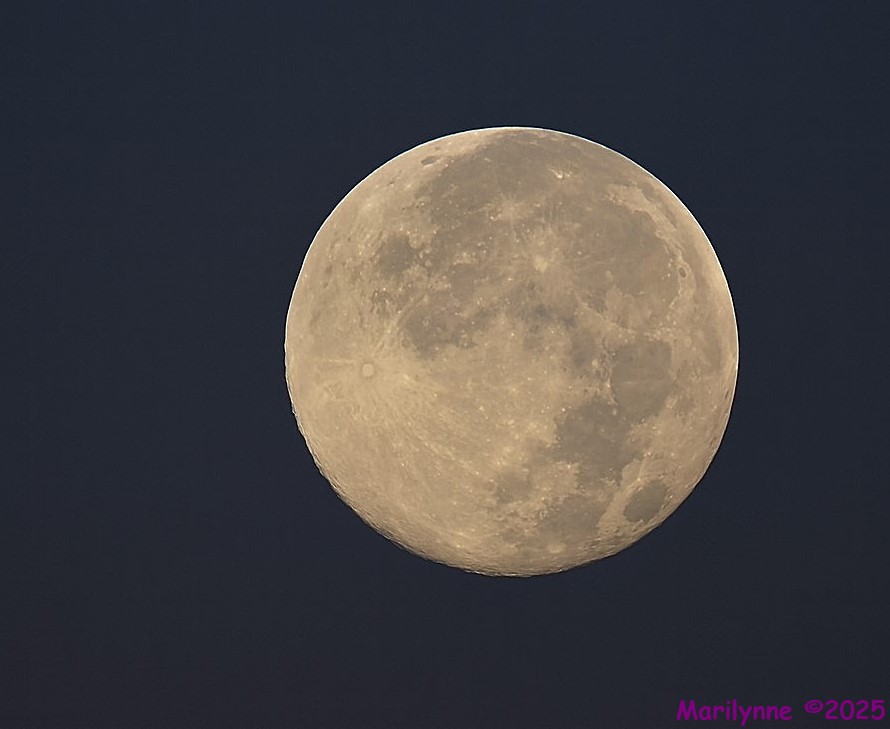 DSC_2228 copy_001.JPG