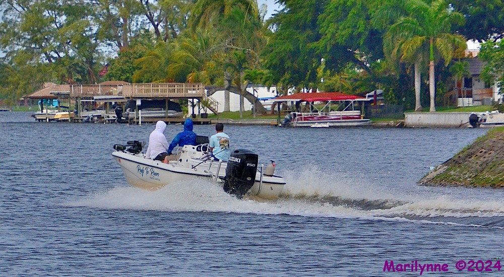 DSC_2228_001.JPG