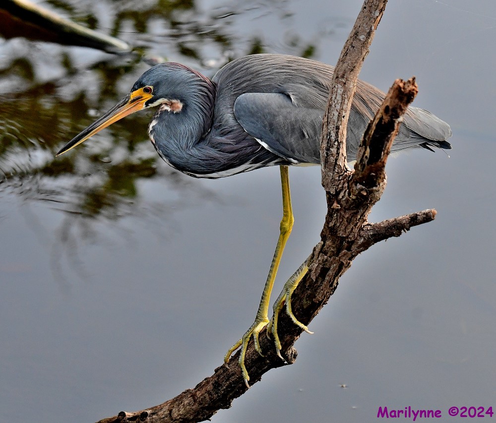 DSC_2238_stitch_001.JPG