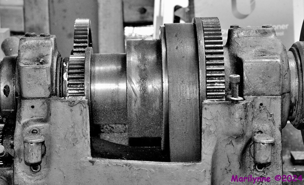 DSC_2239_001.JPG