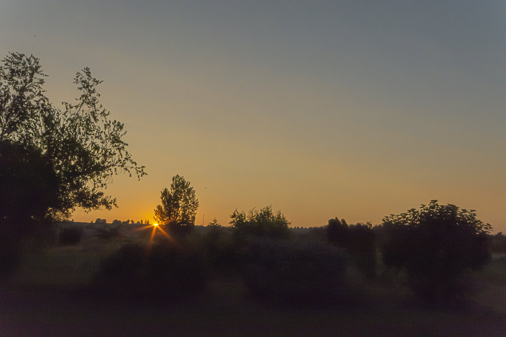 DSC_2241.jpg