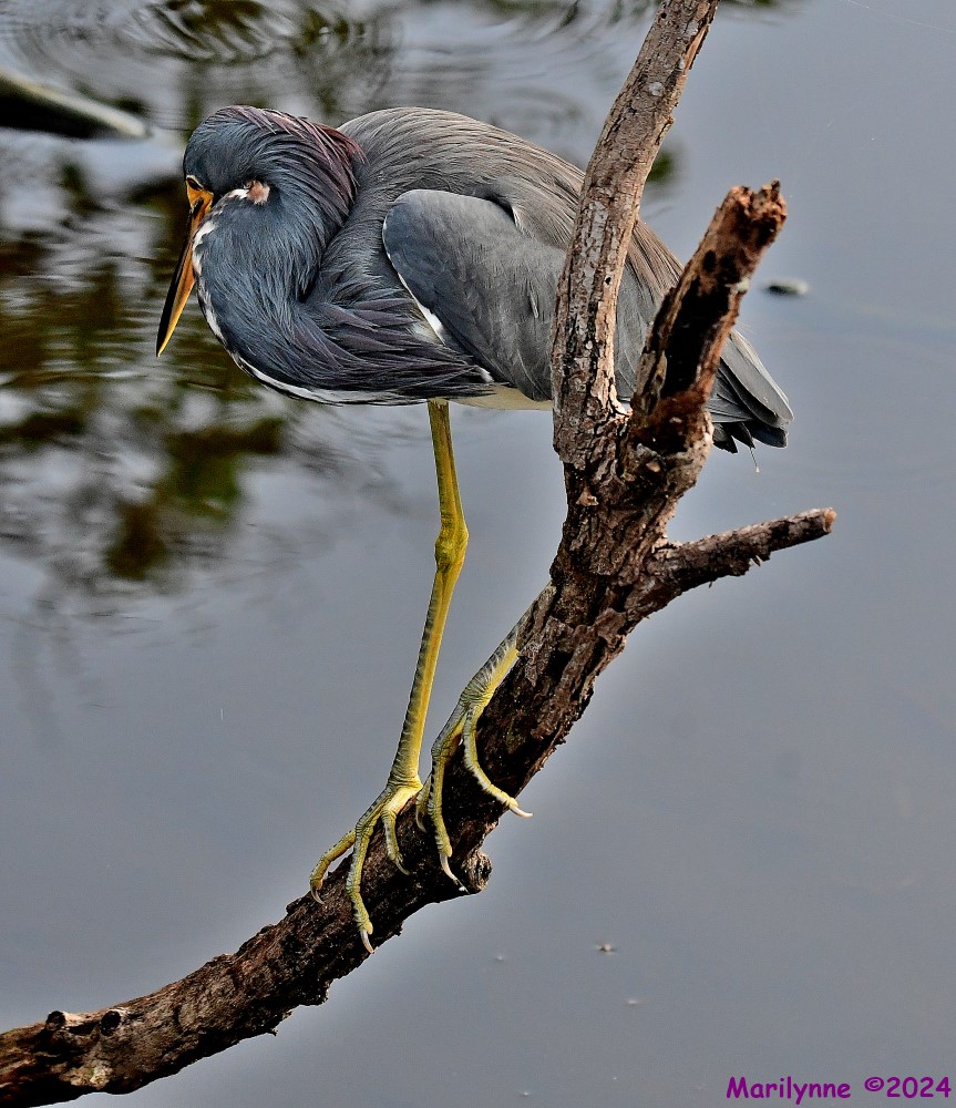 DSC_2241_stitch_001.JPG