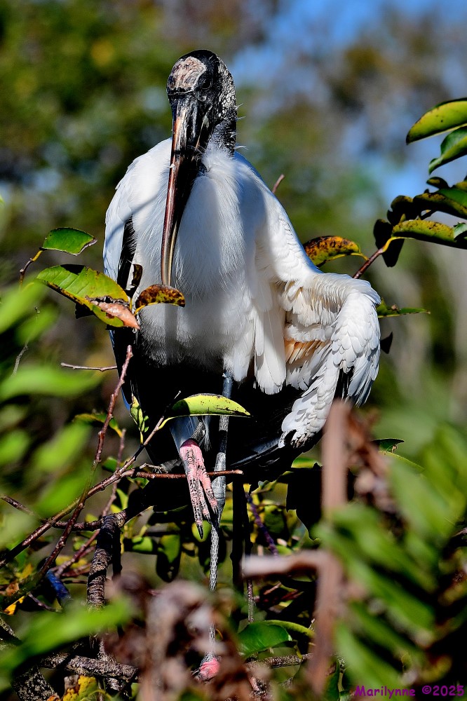 DSC_2244_001.JPG