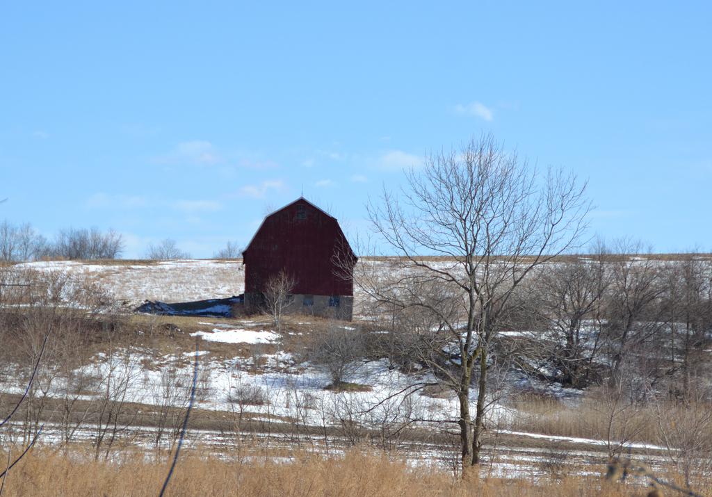 DSC_2247.jpg