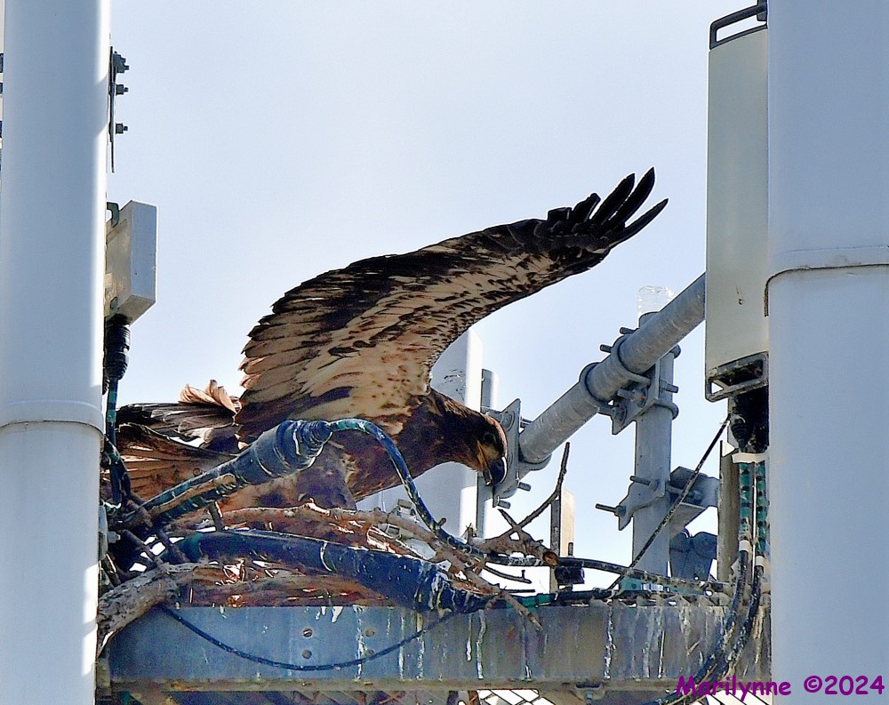 DSC_2247_001.JPG