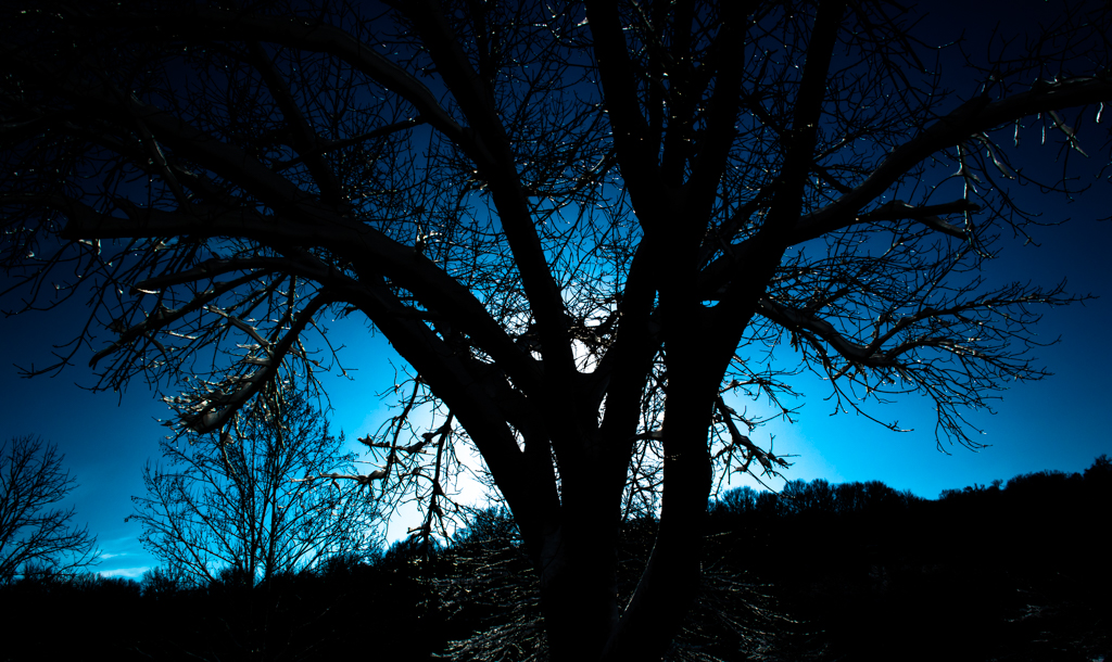 DSC_2247_150305_1024_001.jpg
