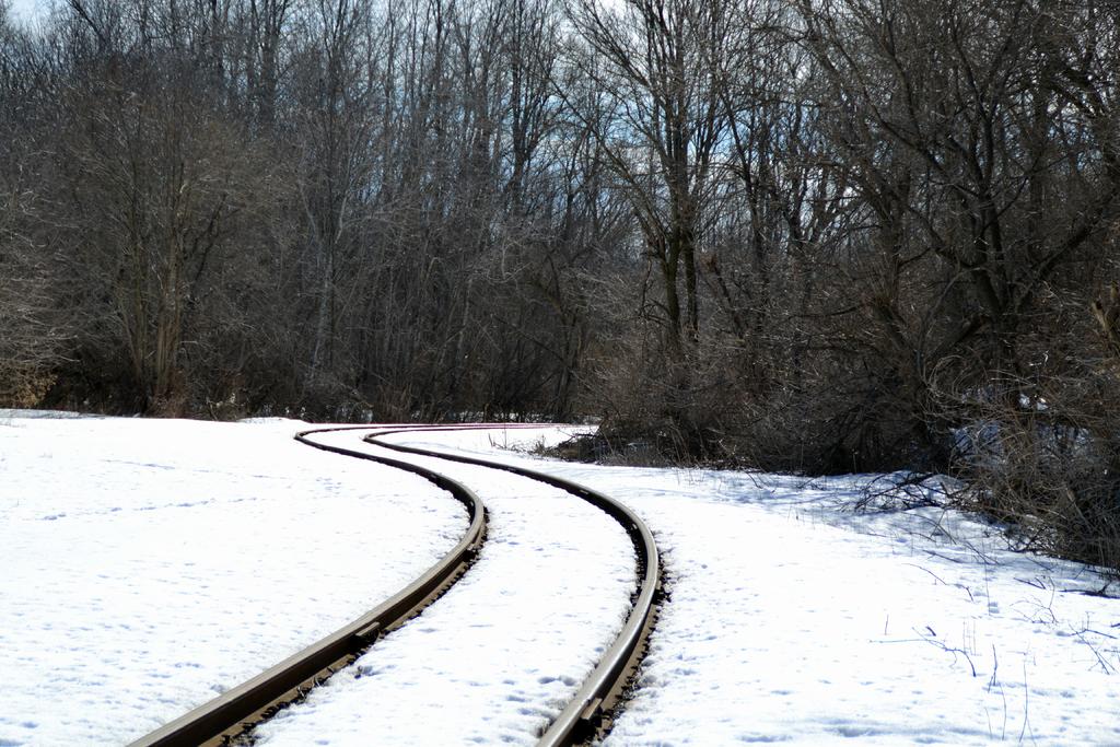 DSC_2248.jpg