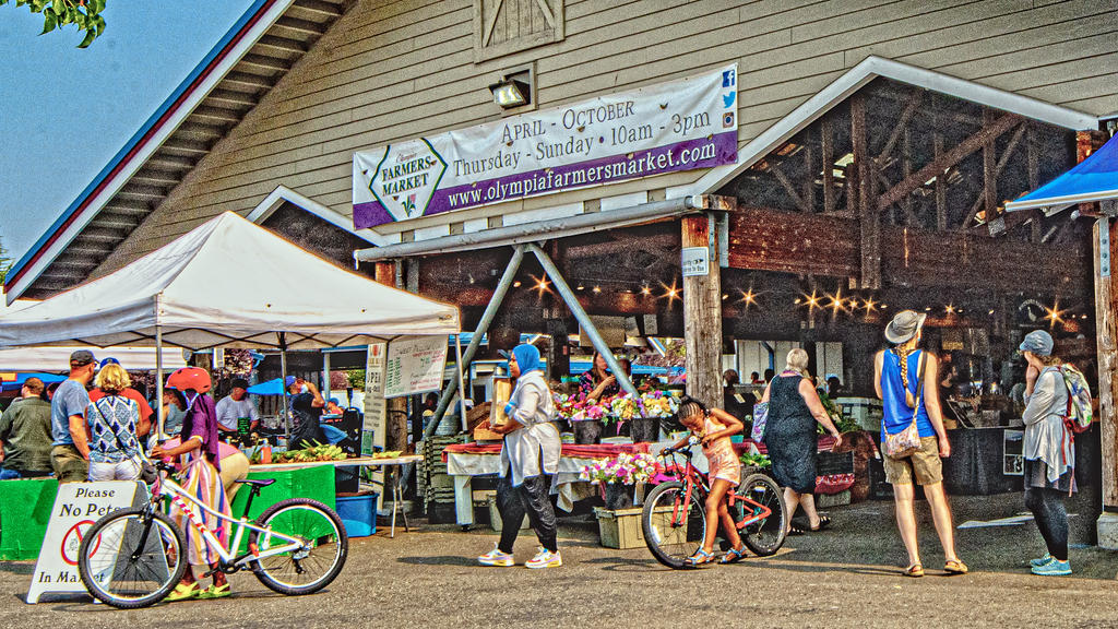 DSC_2250-Edit-Enhanced.jpg
