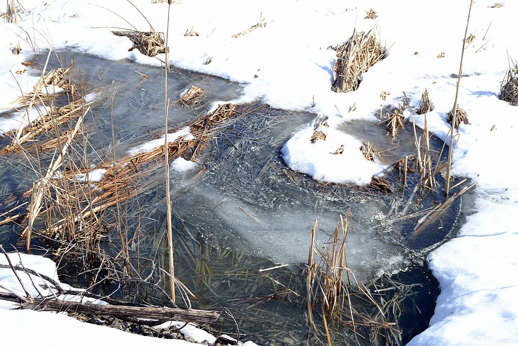 DSC_2252.jpg
