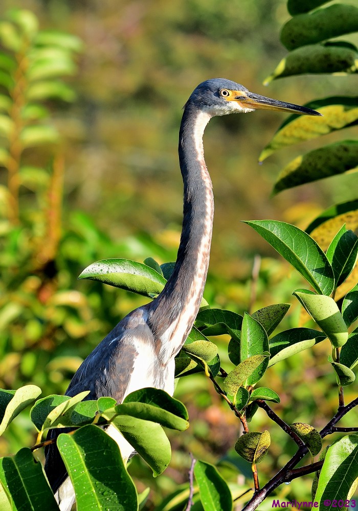 DSC_2254_001.JPG