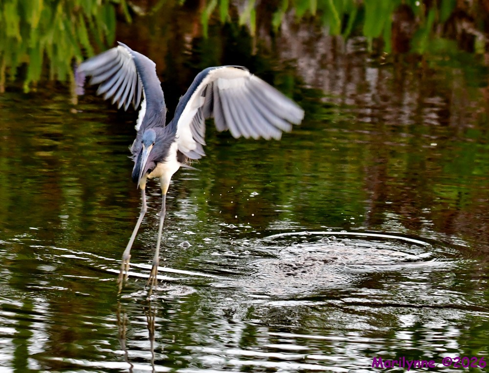 DSC_2256_001.JPG