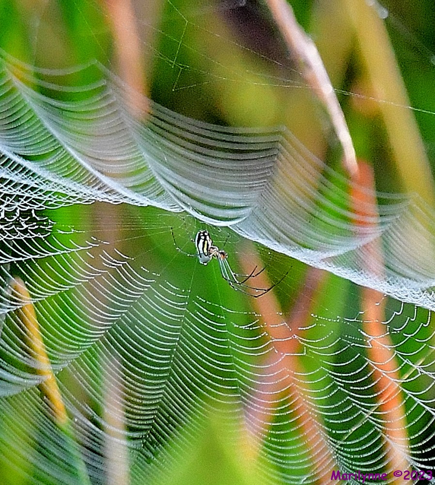 DSC_2263_001.JPG
