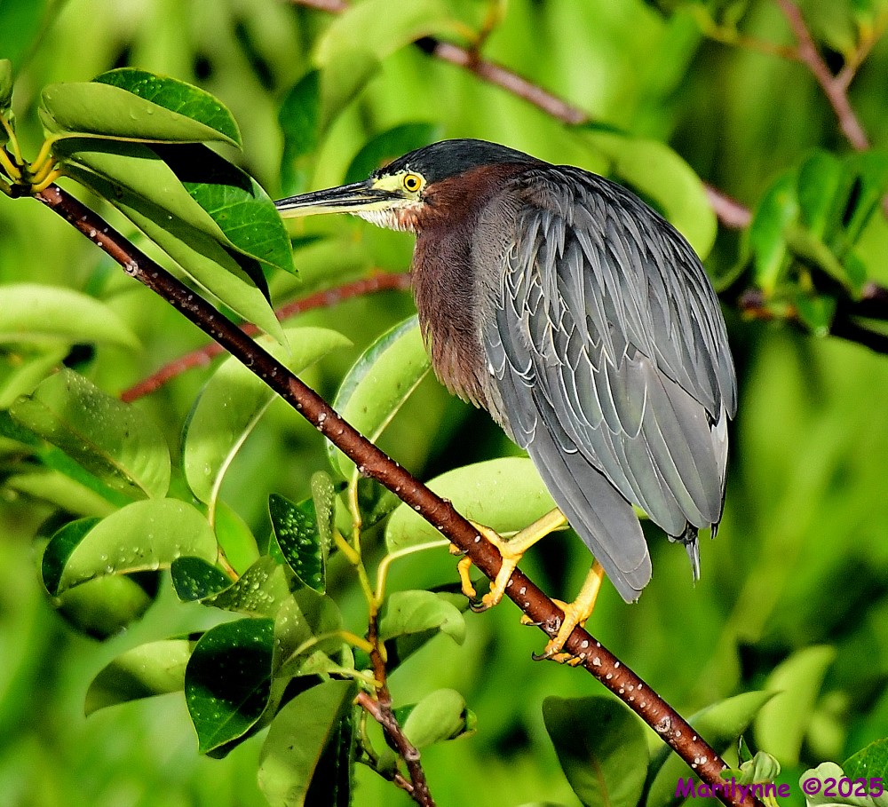 DSC_2267_001.JPG