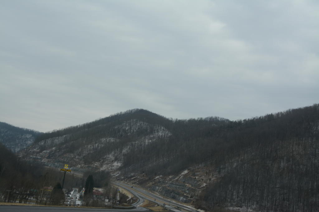 DSC_2269.jpg
