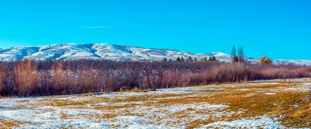 DSC_2269-Pano.jpg