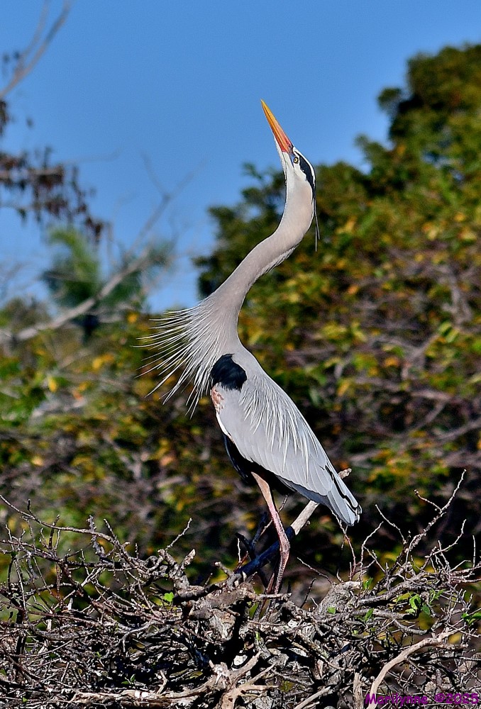 DSC_2269_001.JPG