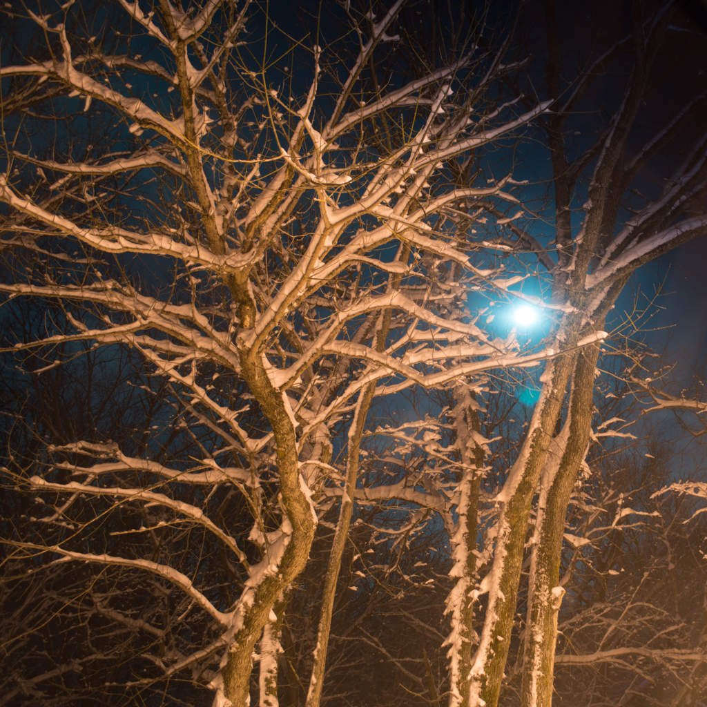 DSC_2269_150305_1024_001-2.jpg