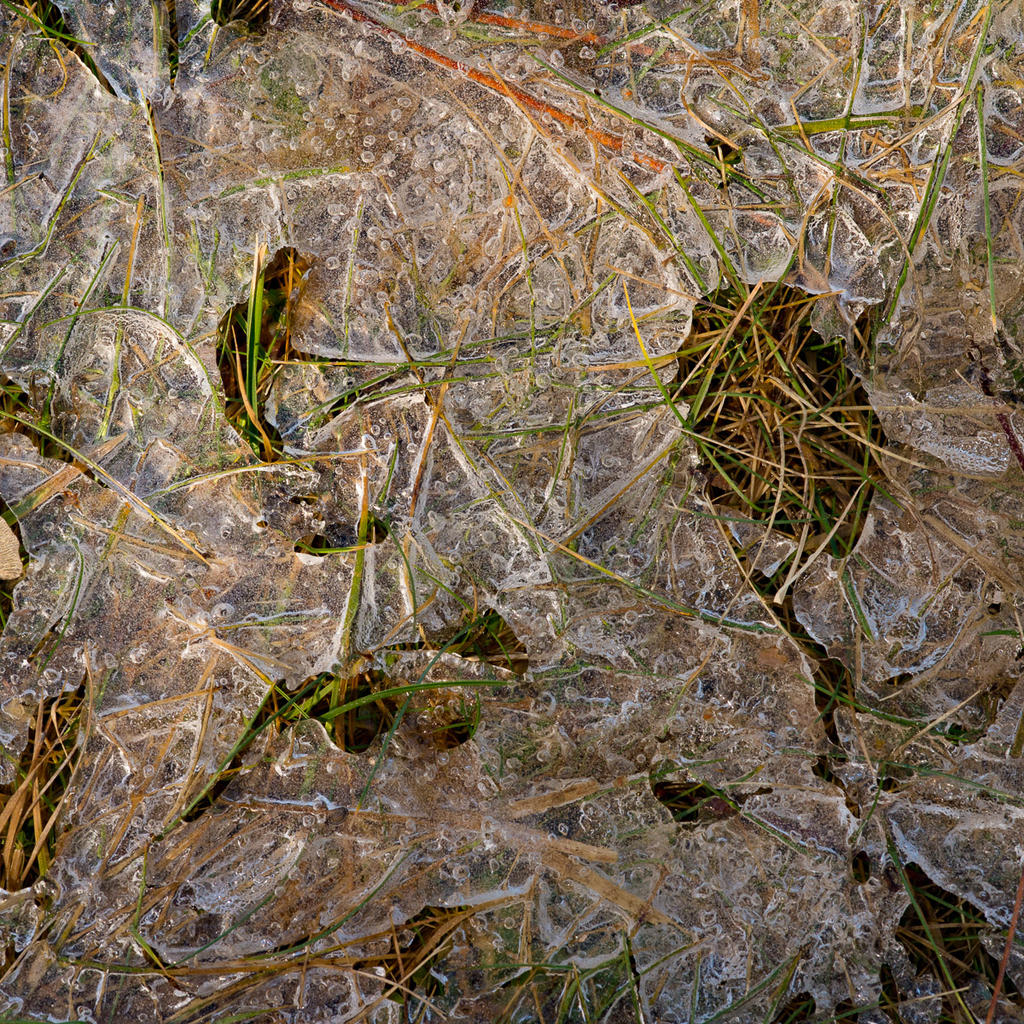 DSC_2272.jpg