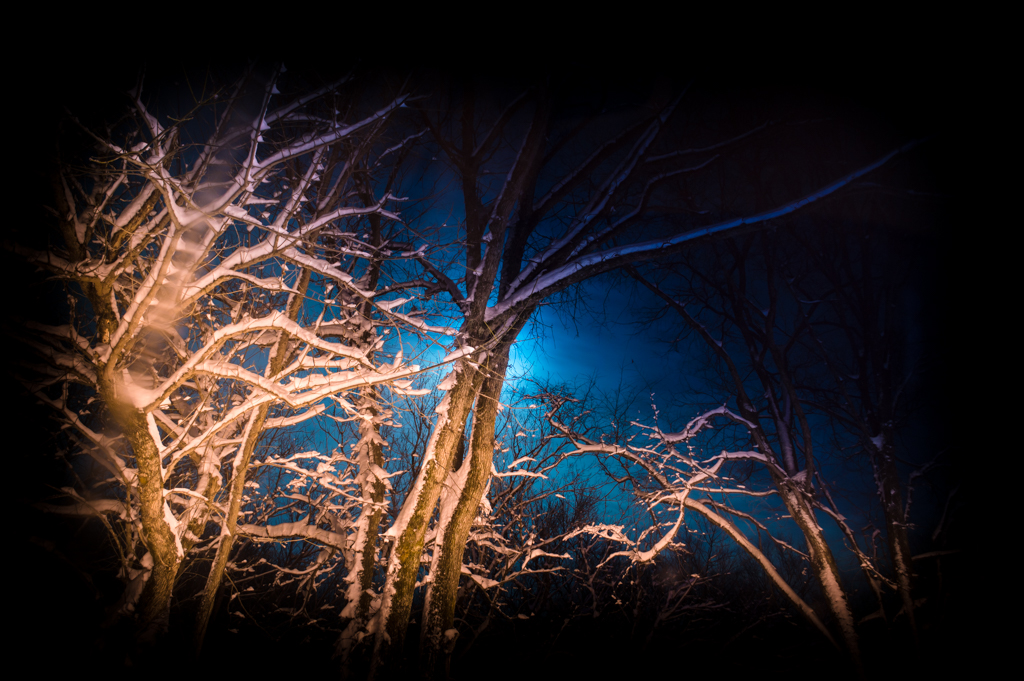 DSC_2273_150305_1024_001-2.jpg