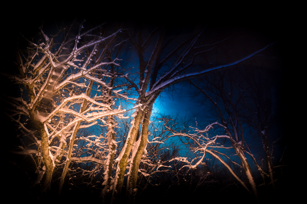 DSC_2273_150305_1024_001-3.jpg