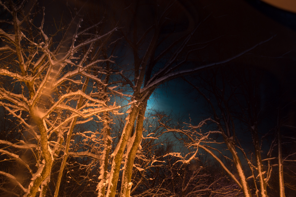 DSC_2273_150305_1024_001.jpg