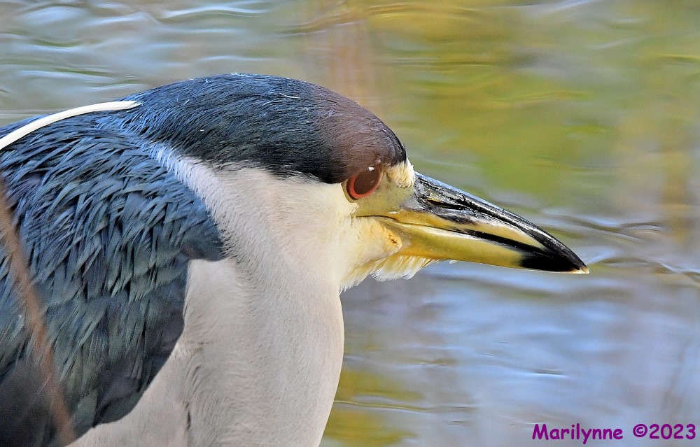 DSC_2278_001.JPG