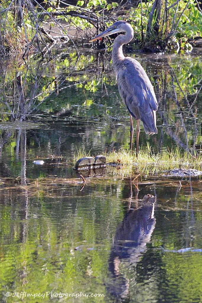 DSC_2279.jpg
