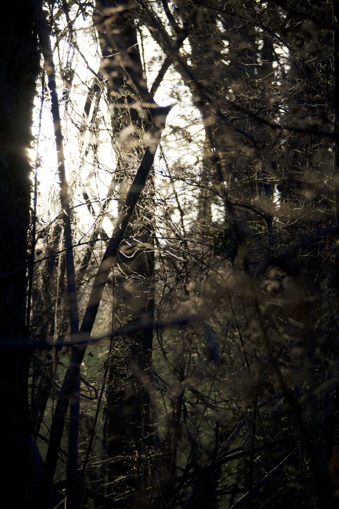 DSC_2280.jpg